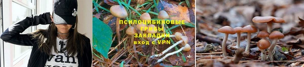марихуана Балахна