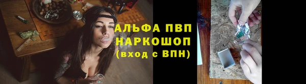 сатива Пролетарск