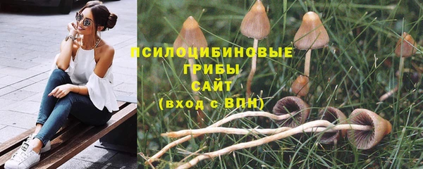 не бодяженный Беломорск