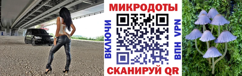 цены   Покровск  Галлюциногенные грибы GOLDEN TEACHER 